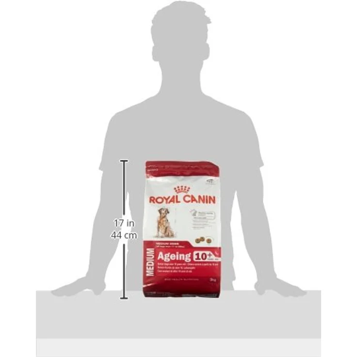 Royal Canin Size Medium Ageing 10+, Trockenfutter für mittelgroße Hunde ab 10 Jahren, 3 kg – Bild 2