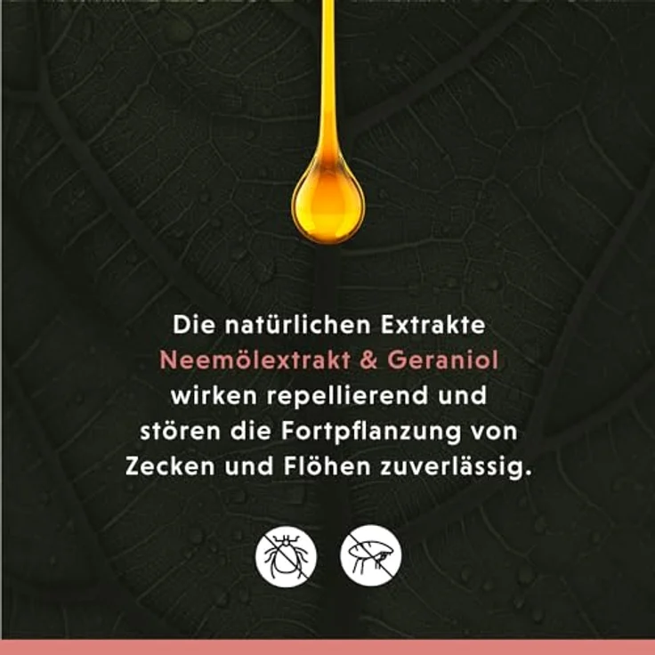 Annimally Anti Zecken und Flohshampoo für Hunde, Shampoo mit Neem-Extrakt, 500ml, effektiver Schutz gegen Zecken, Flöhe & Milben, pflegt Haut und Fell – Bild 3