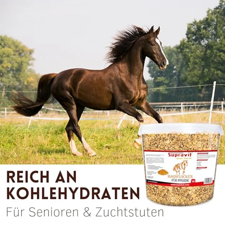Supravit Maisflocken für Pferde, 2kg Eimer, naturrhein, energiereiches Ergänzungsfutter für schnelle Gewichtszunahme – Bild 3