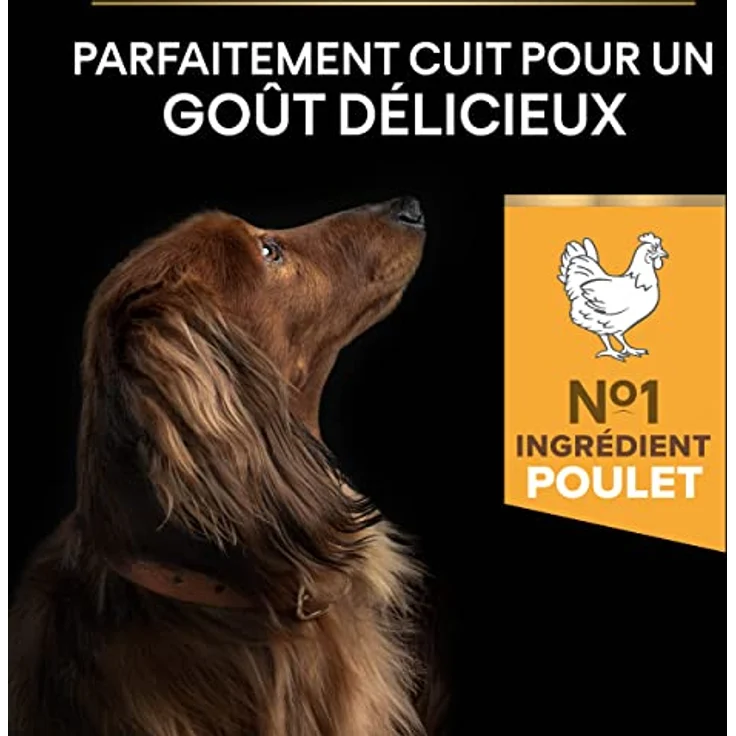 PRO PLAN Adult Small & Mini Age Defence 9+ Huhn, Hundefutter für kleine bis sehr kleine Rassen, 7 kg, unterstützt Gehirnfunktion und Zahnpflege – Bild 7