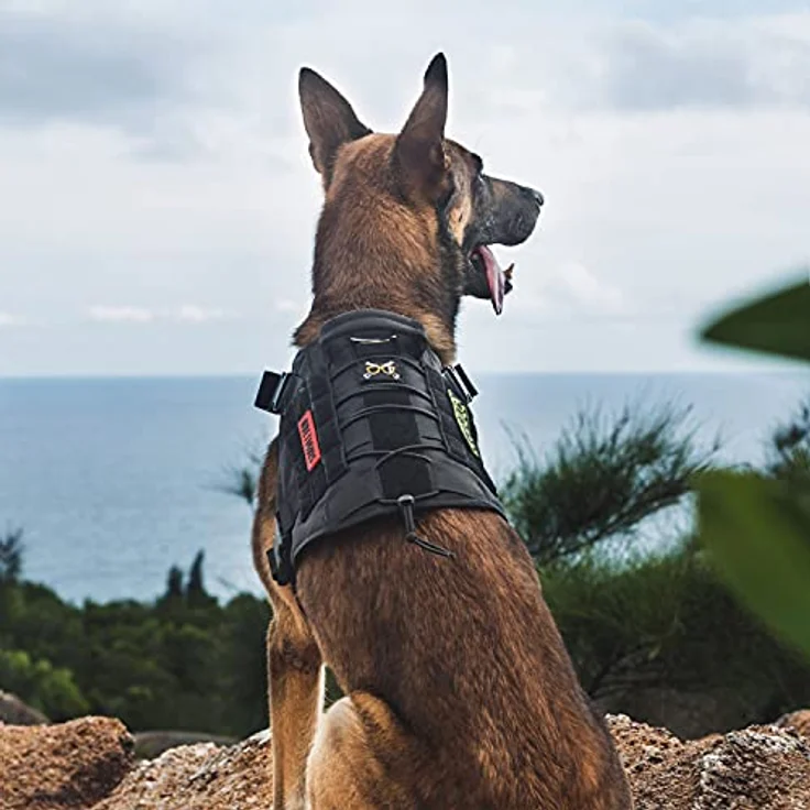 OneTigris Hundegeschirr, FIRE Watcher Taktische Hundeweste aus 1000D Nylon, verstellbar mit 1 Griff und 2 D-Ringen, Größe M, Schwarz – Bild 5