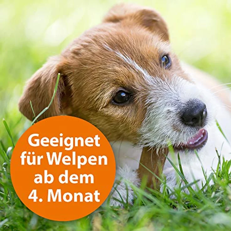 ARDAP Zecken- & Flohschutzhalsband für Hunde & Welpen bis 10kg, bis zu 4 Monate Langzeitschutz mit natürlichem Wirkstoff gegen Zecken & Flöhe, PT19 – Bild 4