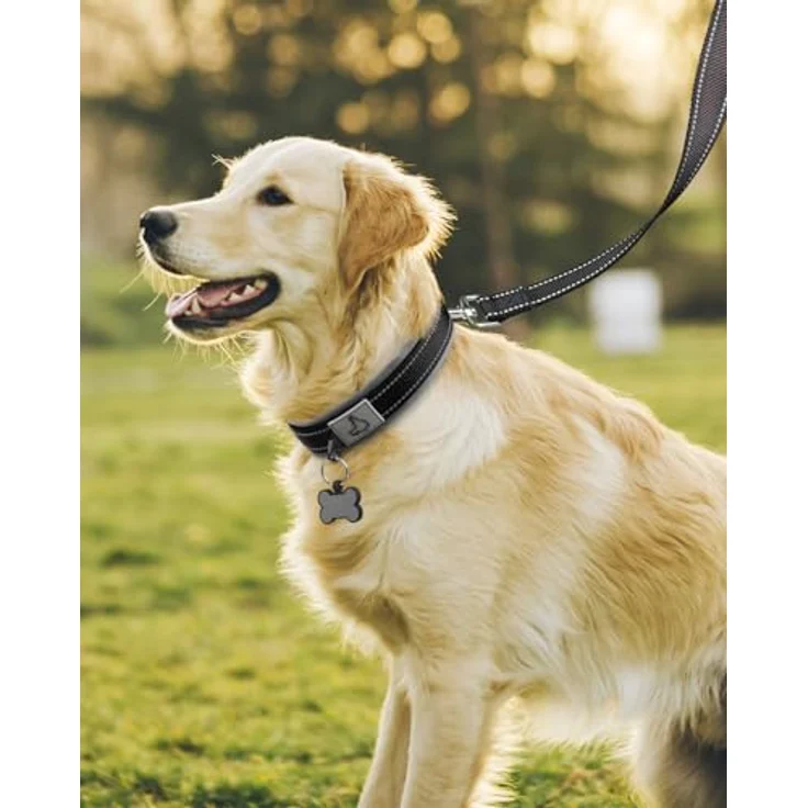 Joytale Hundehalsband, Gepolstertes Neopren Halsband für Große Hunde, Reflektierend, Schwarz – Bild 3