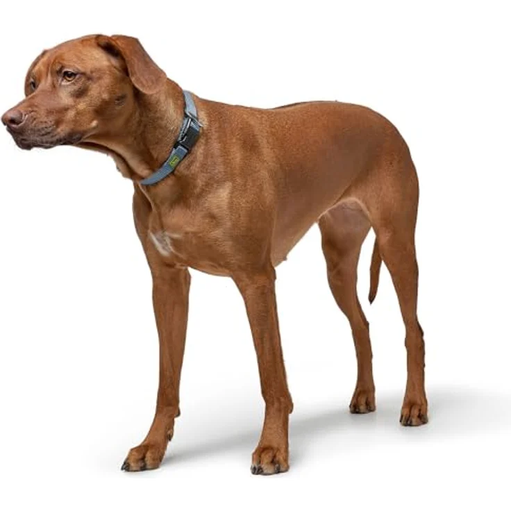 Hunter Tierbedarf Hunde-Halsband Vario-Plus braun, Nylon mit Zugentlastung – Bild 5
