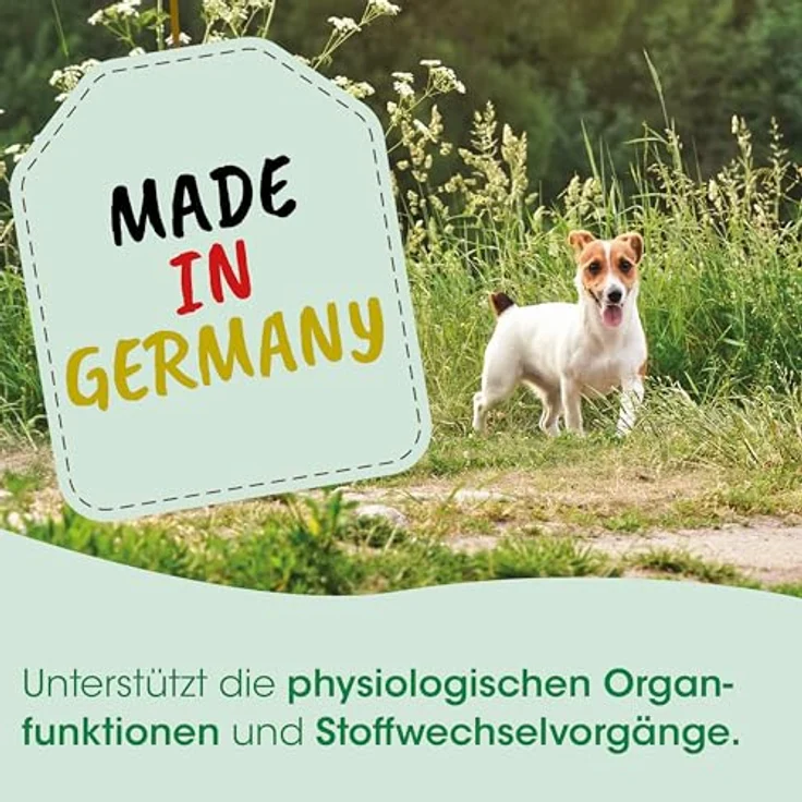 cdVet MicroMineral Hund & Katze, 150 g Mineralstoff- und Vitaminzusatz für eine gesunde Ernährung – Bild 4