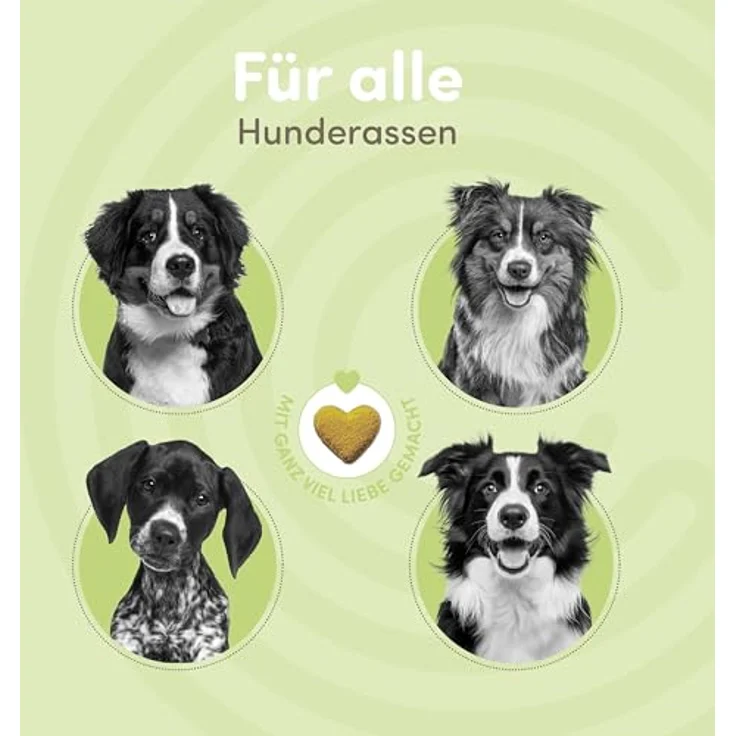happycor® Pure Power Nährstoff-Booster für Hunde, 120 Funktionssnacks mit CORVITALIS®, Curcuma & Algen, unterstützt Darmflora & Immunsystem, 240g – Bild 3