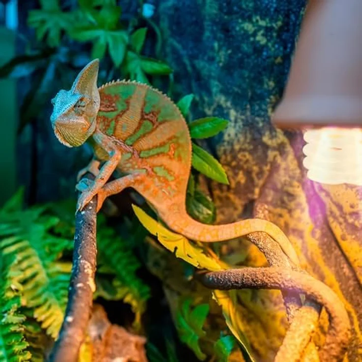 Exo Terra Reptile UVB 100, Tropische Terrarienlampe, 25W E27, kompakte UVB Lampe für subtropische Reptilien, Weiß – Bild 5