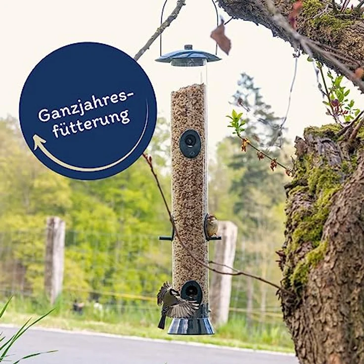 Lyra Pet® Erdnusskerne gehackt mit Haut, 25 kg, ballaststoffreiches Wildvogelfutter für kleine Vögel und Jungtiere, ganzjährig energiereich – Bild 3