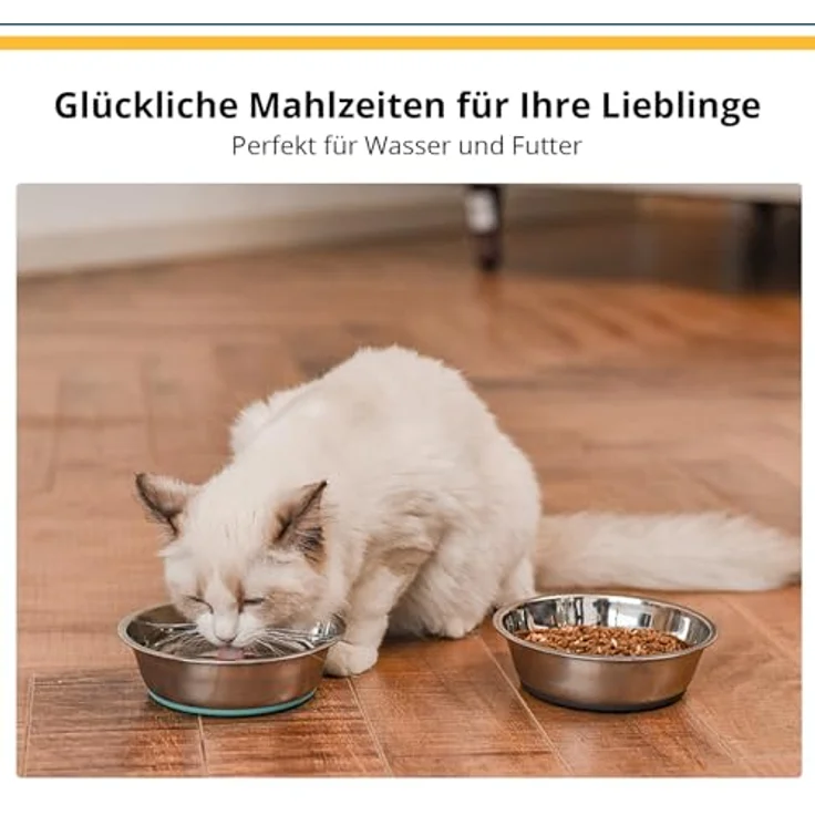 PEGGY11 Edelstahl Futternapf für kleine und mittelgroße Hunde, 720 ml, rutschfest mit Silikonboden, stabil & leise, 2er Set – Bild 5