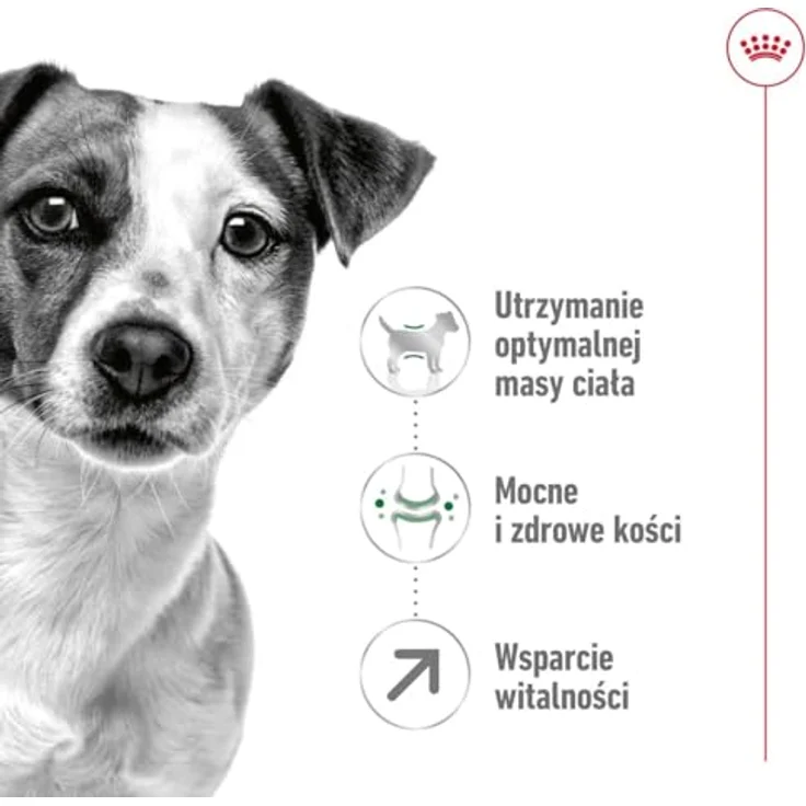 Royal Canin Mini Adult 8+, Hundefutter für kleine Hunde ab 8 Jahren, 8 kg Packung, ausgewogene Rezeptur für gesunde Vitalität – Bild 4