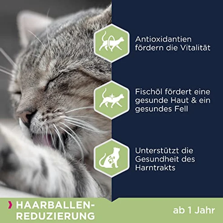 Eukanuba Anti-Haarballen Katzenfutter, 10 kg Trockenfutter mit frischem Huhn zur Reduzierung von Haarballen, für gesunde Haut und glänzendes Fell – Bild 4