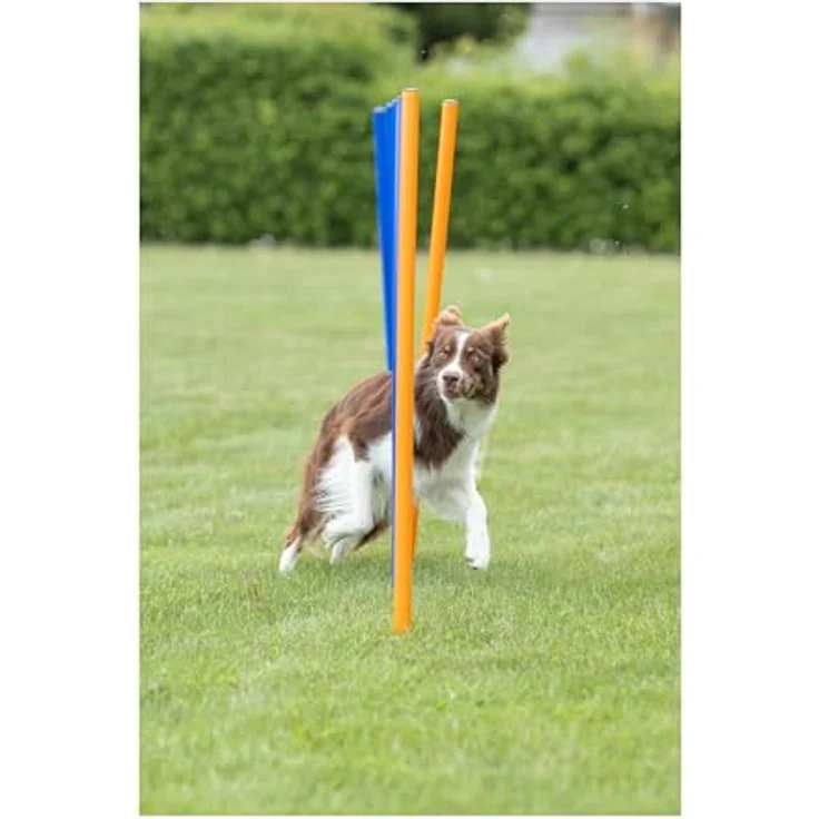 Trixie Dog Activity Agility Slalom, Kunststoff 115xø 3 cm, 12 St. blau-orange – Bild 7