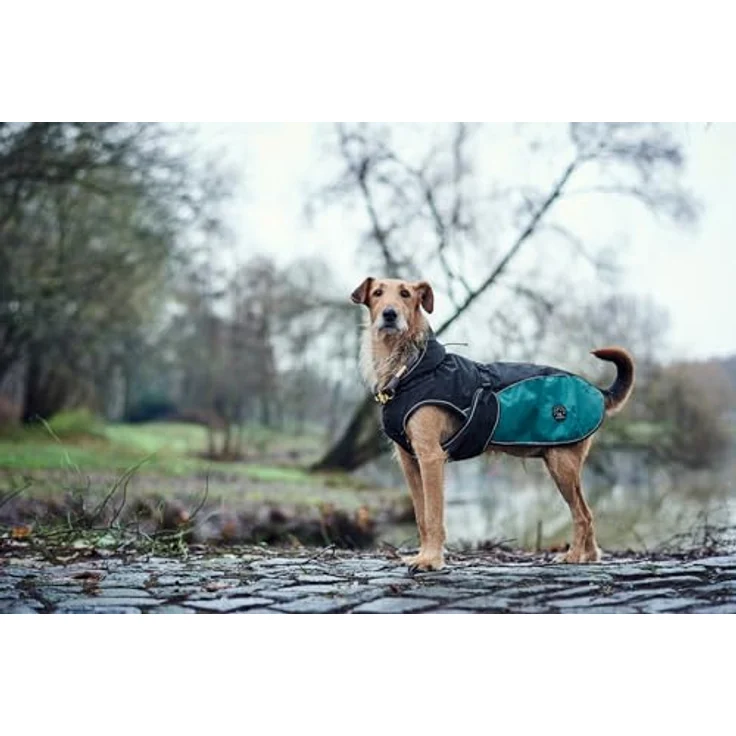 Hunter Hunde-Mantel Uppsala Allrounder anthrazit-petrol 40 cm – Bild 6