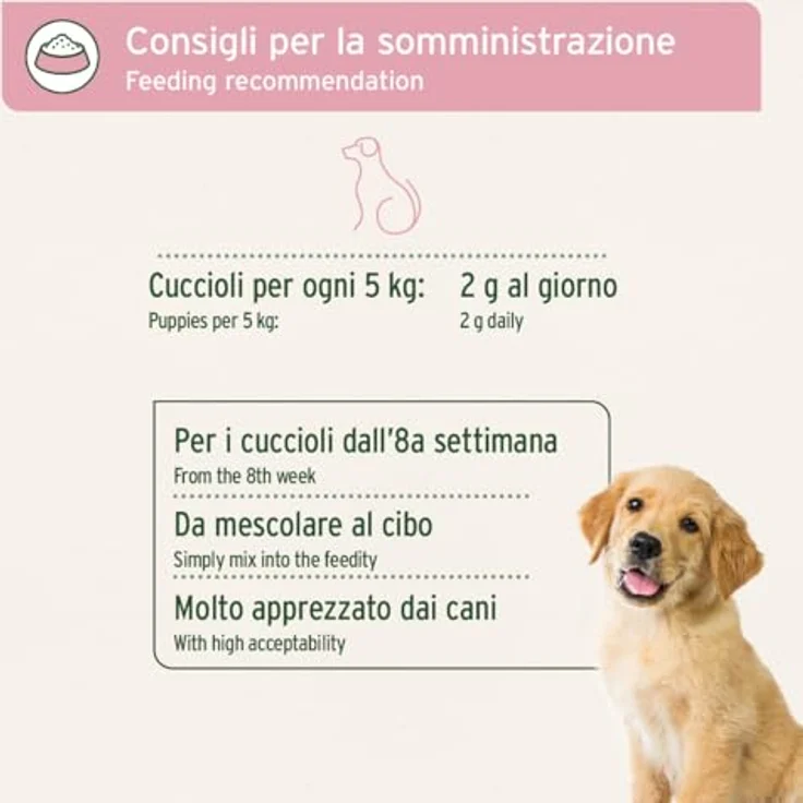 AniForte Junior Active 250 g, Hundefutter zur Unterstützung der Knochen- und Gelenkentwicklung für Welpen und junge Hunde – Bild 5