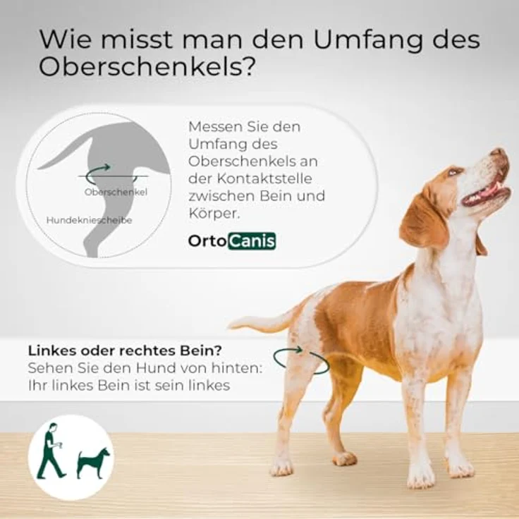 Ortocanis Kniebandage für Hunde, linkes Hinterbein, Neopren ARD, Unterstützung bei Kreuzbandriss, Bänderverletzungen, Patellaluxation, Osteoarthritis, Größe X-Large (14,2-16") – Bild 3