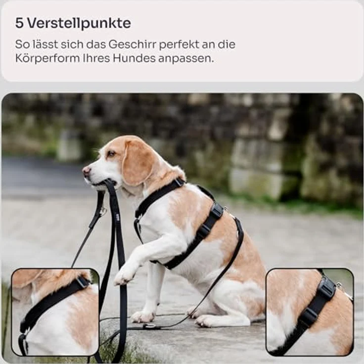 Chaba Guard Hundegeschirr für kleine Hunde, Einstellbar, Anti-Zug & Würgen, Ergonomisches Design, Größe S, SCHWARZ – Bild 3