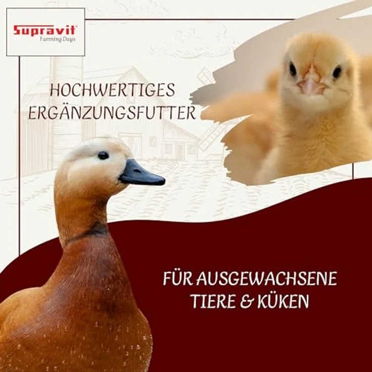 Supravit Aufzucht- & Eifutter für Hühner 2kg | Proteinreiches Ergänzungsfutter für Küken, Legehennen und Junghennen, natürliche Nährstoffversorgung – Bild 5
