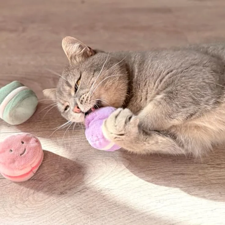 Aumüller Katzenspielzeug Macarons 3er Set, Plüsch mit Katzenminze und Silver Vine, bunt – Bild 5