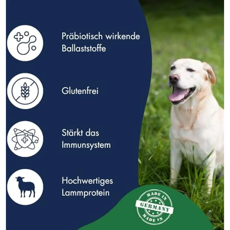 Dr.Clauder's Dog Lamm & Reis, Trockenfutter für erwachsene Hunde, 12.5 kg, optimale Verdaulichkeit ohne Weizen – Bild 5