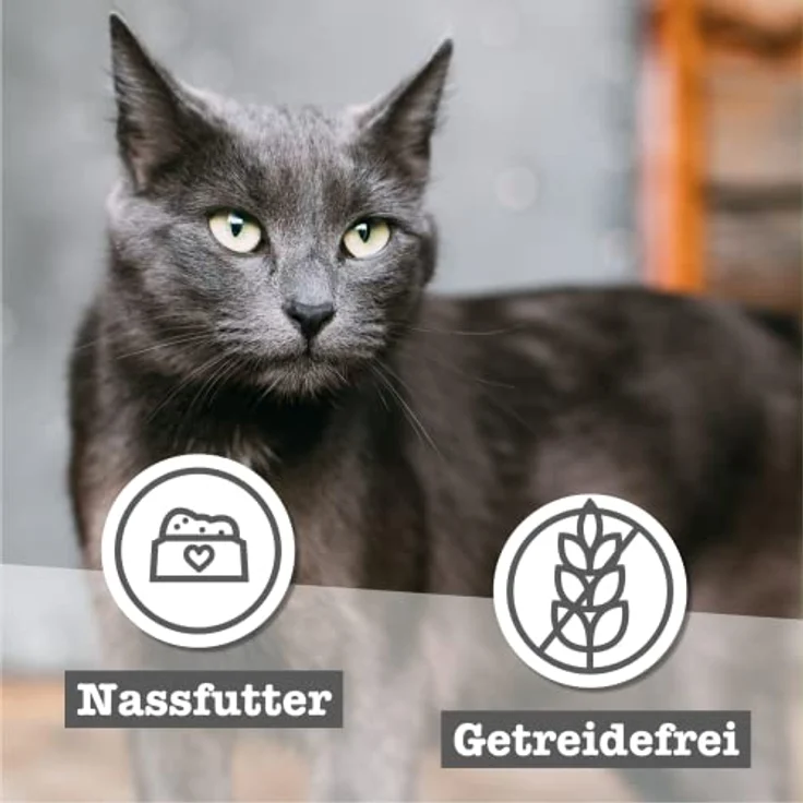 catz finefood Senior Collection Katzenfutter nass - 6 x 200g Dosen, getreidefrei, hoher Fleischanteil über 91%, für ältere Katzen mit Vitaminen & Mineralien – Bild 3