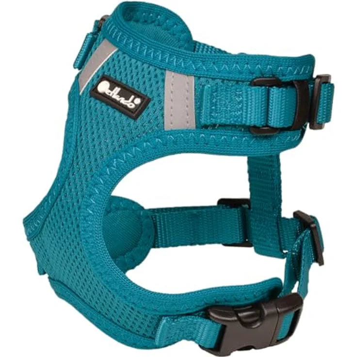 Petlando Hundegeschirr Mesh Vest S, leichtes reflektierendes Brustgeschirr für kleine Hunde, stufenlos verstellbar, Petrol, 2 D-Ringe