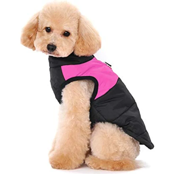 Ectkuee Winter Hundejacke, wasserdichter gefütterter Mantel für kleine Hunde mit D-Ring zur Leinenbefestigung, Größe S – Bild 2