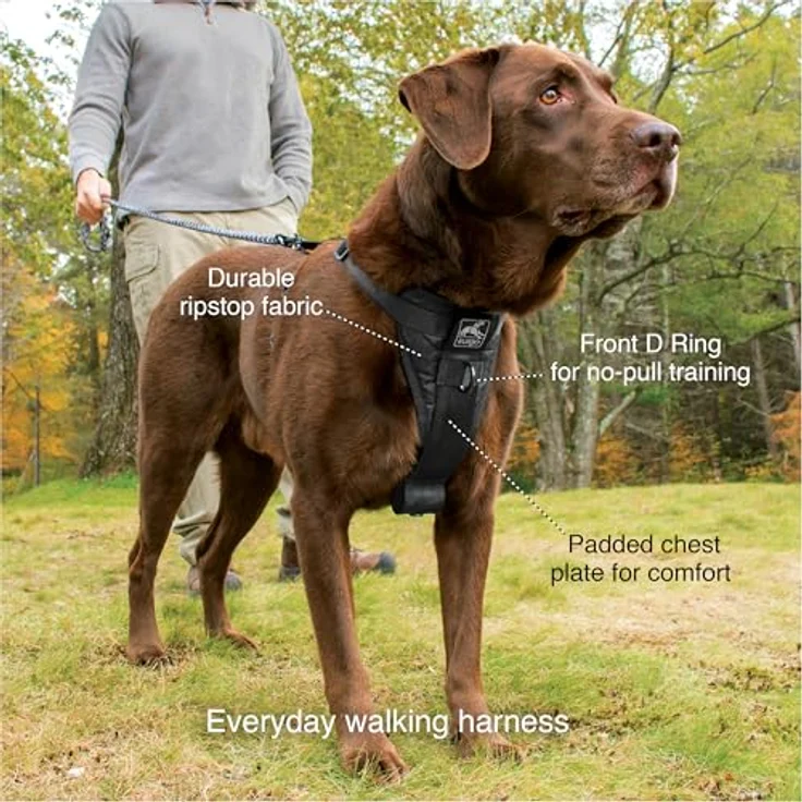 Kurgo TRU-Fit Intelligentes Hundegeschirr, Verstellbares Geschirr mit Sicherheitsgurt-Schlaufe und reflektierender Tierbekleidung, Schwarz, Klein – Bild 3