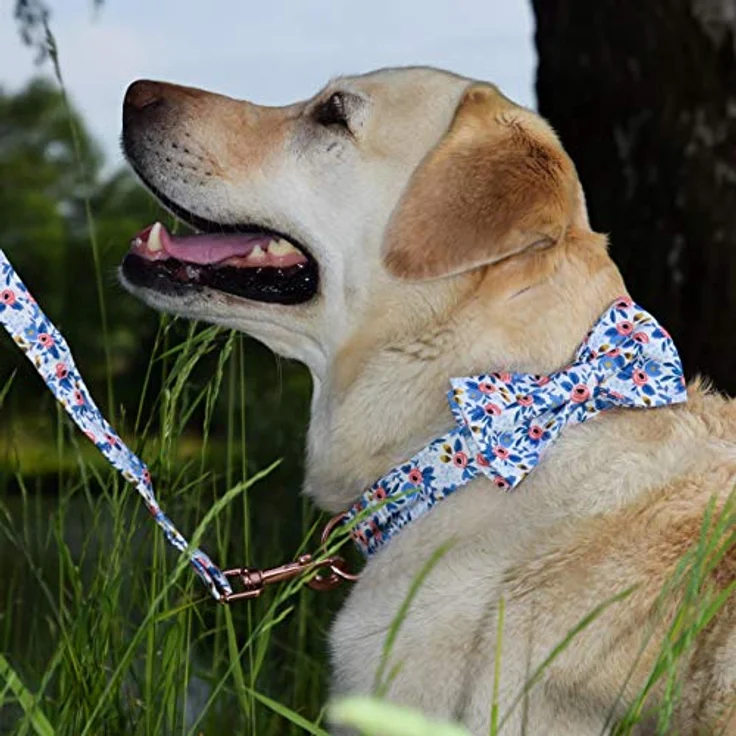 Unique Style Paws Hundehalsband mit verstellbarer Fliege, bequemes Halsband für kleine bis große Hunde und Katzen, Größe XXS-XL, Premium-Baumwolle – Bild 5
