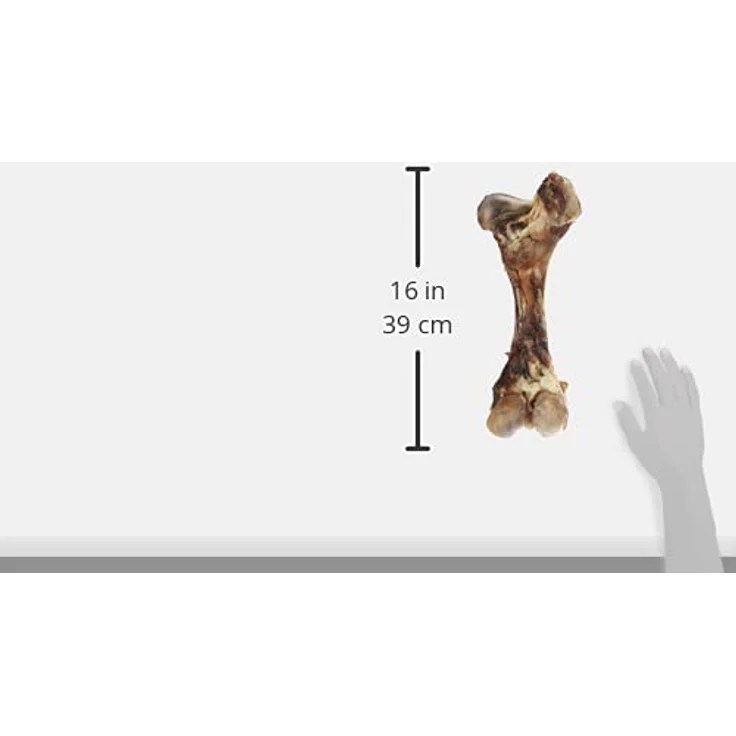 Nobby Rinderknochen XXL, Naturknochen lufgetrocknet, 1 Stück (1800 - 2300 g), 45-55 cm, vakuumverpackt – Bild 5