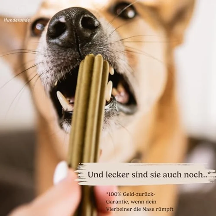 Hunderunde Dental Sticks Traumfänger, 21 STK für Hunde, vegane Zahnpflege mit Baldrian, Lavendel & Passionsblume, getreidefrei & allergikerfreundlich, täglicher Kaustick – Bild 3