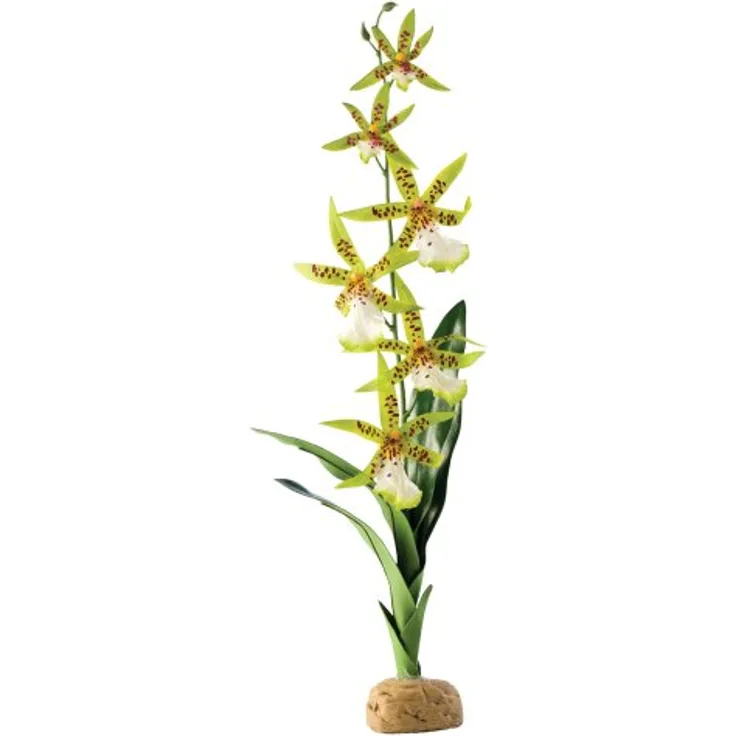 Exo Terra Spinnen Orchidee, künstliche naturgetreue Pflanze für Terrarien, ideal für Regenwaldterrarien, extrem realistisch und pflegeleicht