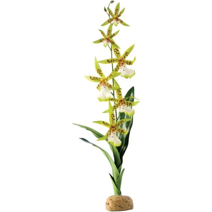 Exo Terra Spinnen Orchidee, künstliche naturgetreue Pflanze für Terrarien, ideal für Regenwaldterrarien, extrem realistisch und pflegeleicht