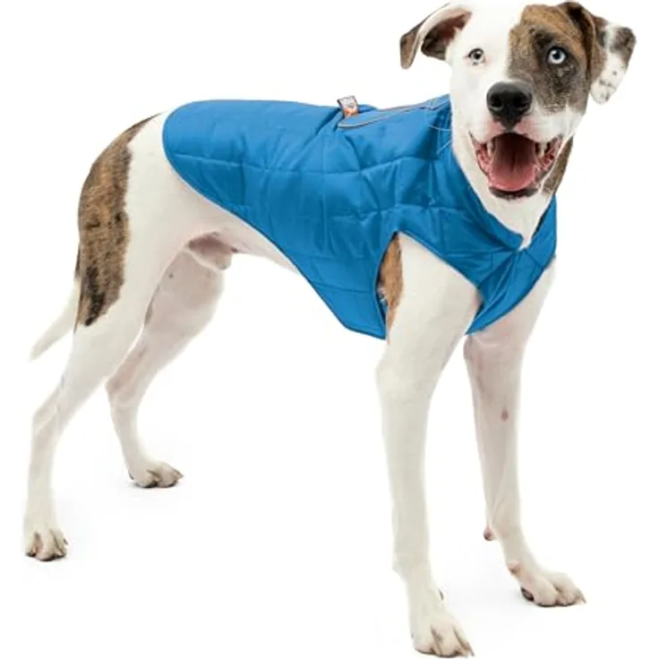 Kurgo Loft Jacke, Wendbare reflektierende Hundejacke, wasserabweisend, Blau/Orange, XL