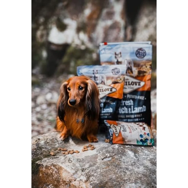 Carnilove Dog Adult Fresh Small Breeds, Trockenfutter mit Strauß und Lamm, 6kg – Bild 2