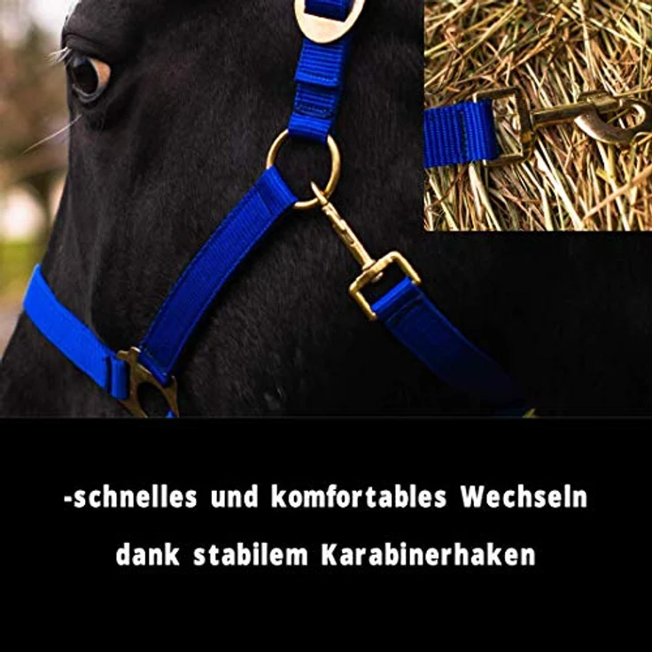 Pferdelinis Halfter für Pferd Warmblut, Vollblut, Kaltblut – Reißfestes Stall- und Weidehalfter, 2-fach verstellbar in Royalblau (Vollblut, Cob) – Bild 2