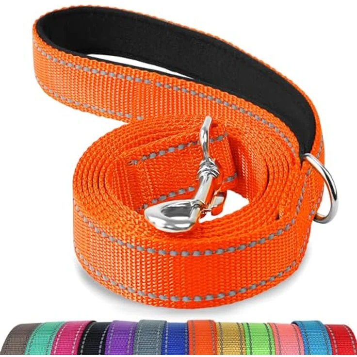 Joytale Hundeleine für große und mittelgroße Hunde, doppelseitig reflektierende Nylonleine mit gepolstertem Griff, 1,8m x 2,5cm, orange – Bild 1