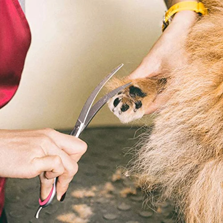 Gimars Professionelle 4CR Roestvrij Staal 6-in-1 Verzorgingsschaar für Hunde, Katzen und andere Tiere, mit Sicherheitsrunde Spitze, Ergonomisches Design, Pink – Bild 5