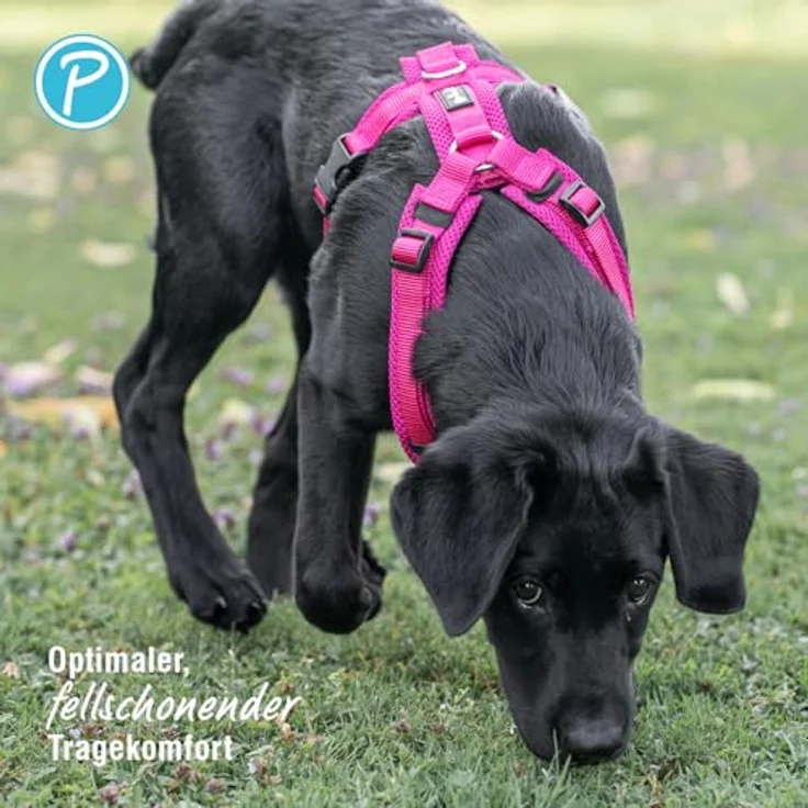 Petlando Hundegeschirr Y-Comfort, gepolstert, stufenlos verstellbar, leicht und atmungsaktiv, ergonomisch für sehr große Hunde, Fuchsia, XL – Bild 4