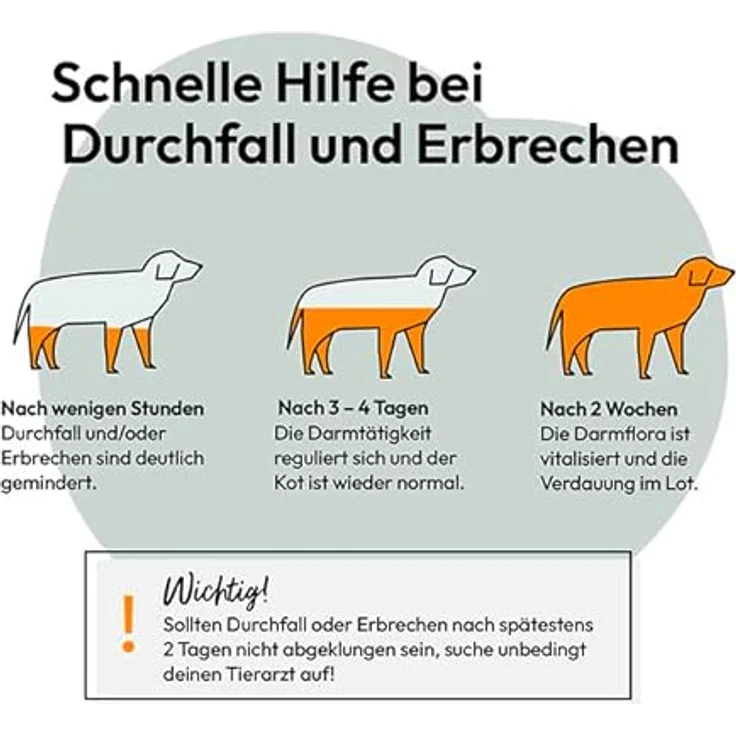 Grau Sanofor, Ergänzungsfuttermittel für Hundegesundheit, 1kg, grau – Bild 5