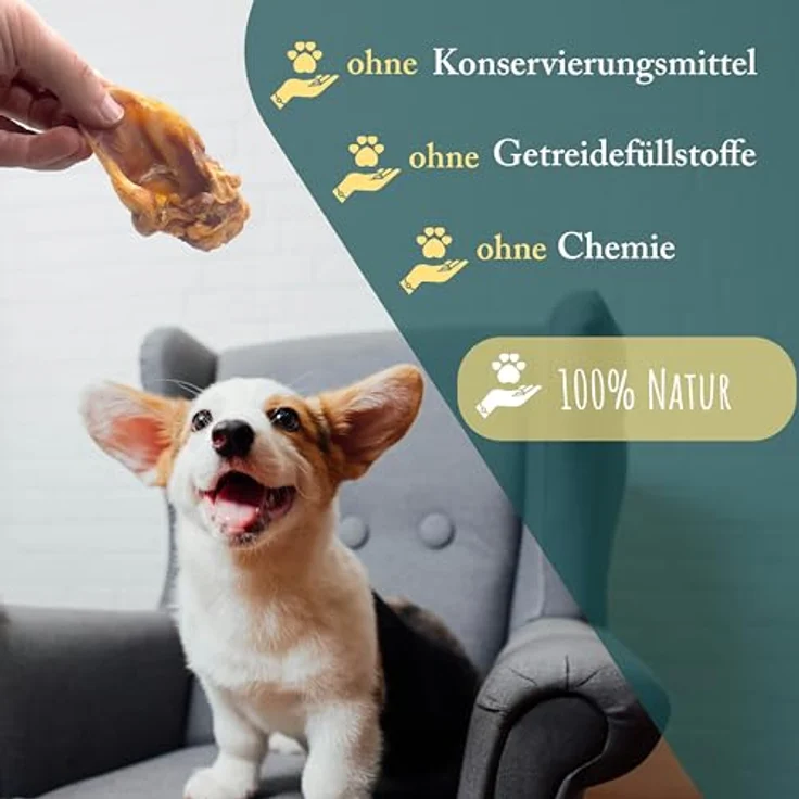 WuffSnacks Schweineohrmuscheln für Hunde, getrocknet, 10 kg, 100% Schwein, natürlicher Kauartikel zur Zahnpflege, geeignet für empfindliche Hunde – Bild 4