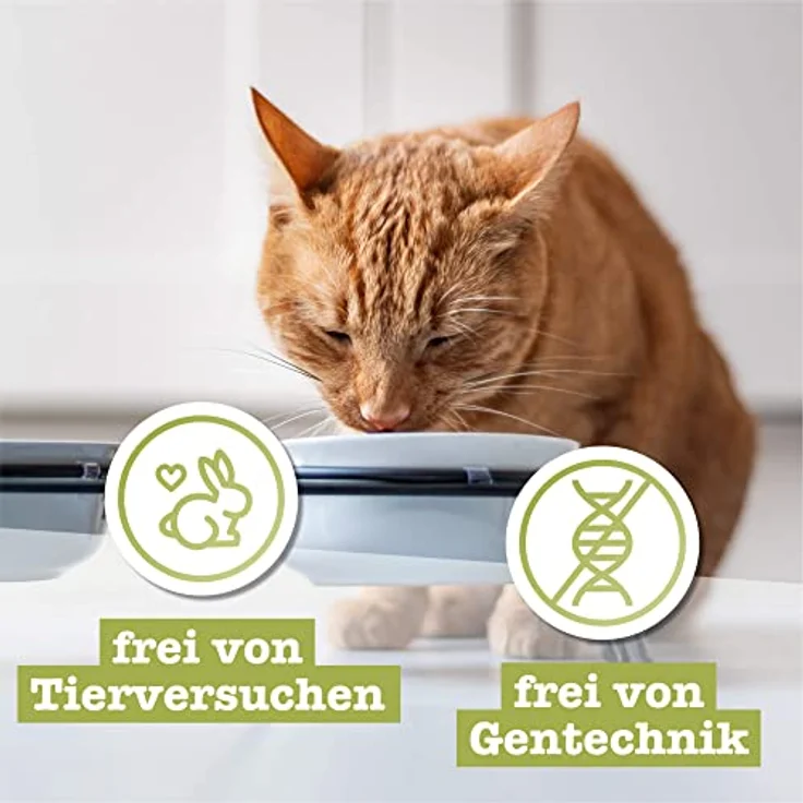 catz finefood N° 5 Lachs & Geflügel Feinkost Katzenfutter nass, 36% Lachs, 35% Geflügel, mit Spinat & Tomate, 8 x 85g Beutel – Bild 5