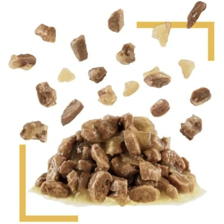 Royal Canin Sensory Taste in Gelee, Katzen-Nassfutter mit zartem Huhn, 12 x 85 g – Bild 3