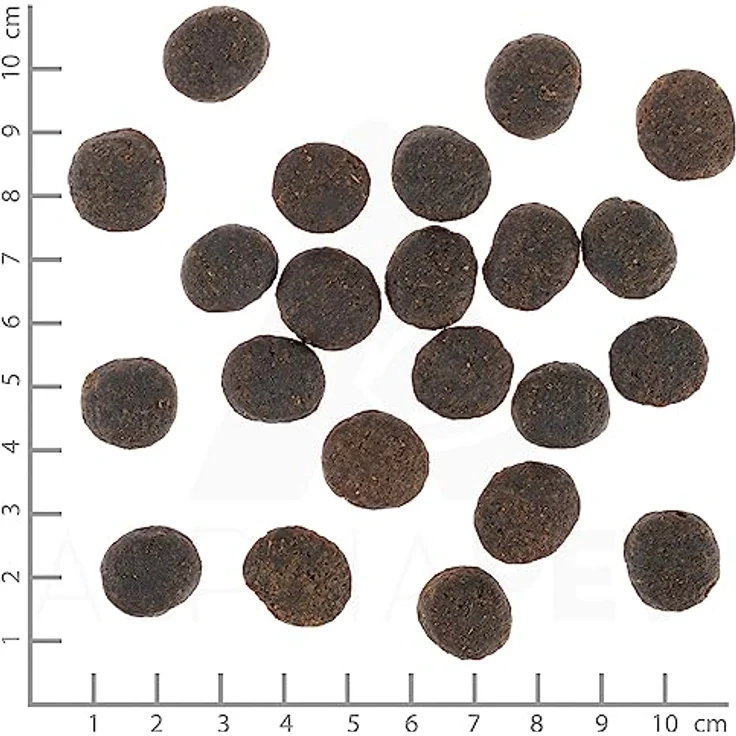 WOLFSBLUT VetLine JOINT CARE, Hundefutter für erwachsene Hunde mit Gelenkproblemen, Truthahn, 12 kg – Bild 3