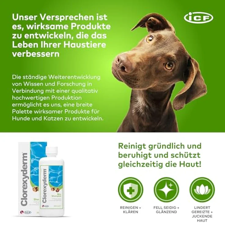ICF Clorexyderm 4% Shampoo für Hunde, Katzen & Pferde | Tiefenreinigung, Hautfeuchtigkeit & Pflege | Sanfte Formel für alle Rassen, 200ml – Bild 5