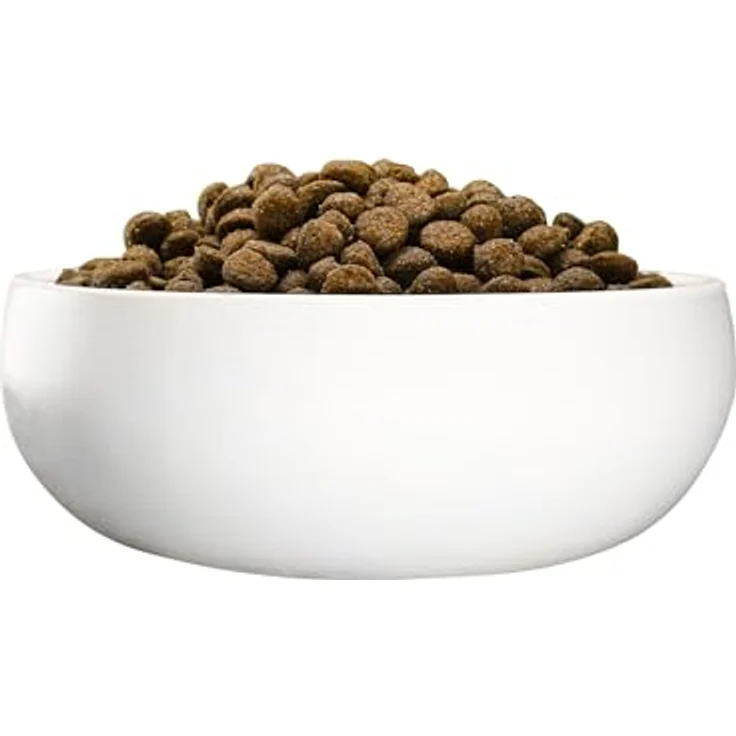 Green Petfood Sensitive Insects und Rice, 10 kg Trockenfutter für sensible Hunde mit Insektenprotein und Reis – Bild 6