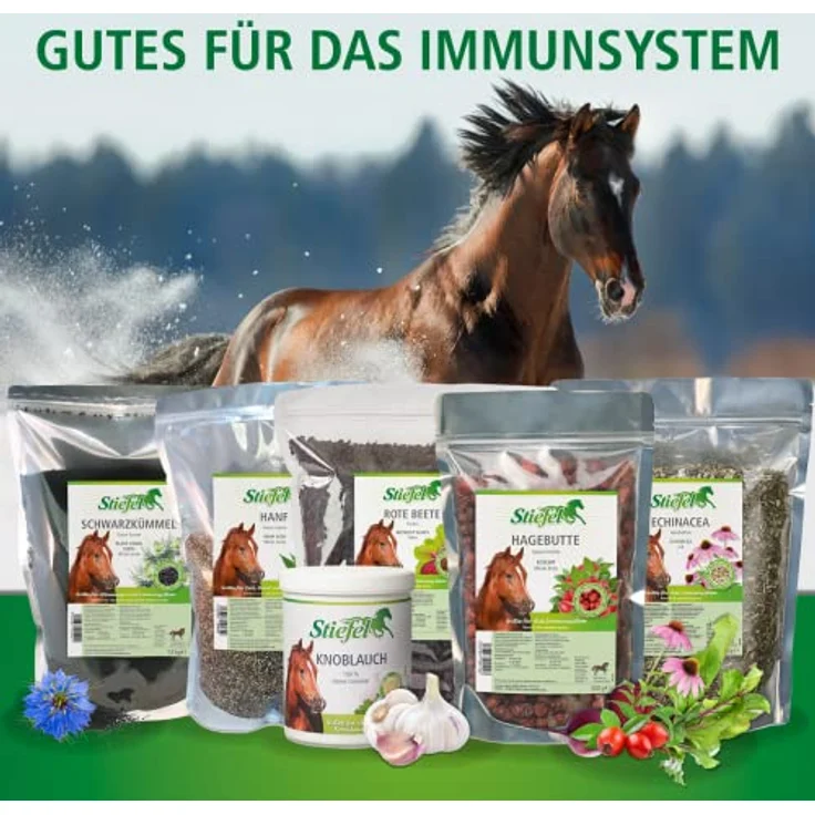 Stiefel Schwarzkümmelsamen für Pferde, 100% naturbelassene Kräuter zur Immunsystemstärkung, unterstützt Stoffwechsel, Darmflora, Haut & Schleimhäute, 1,5kg – Bild 3
