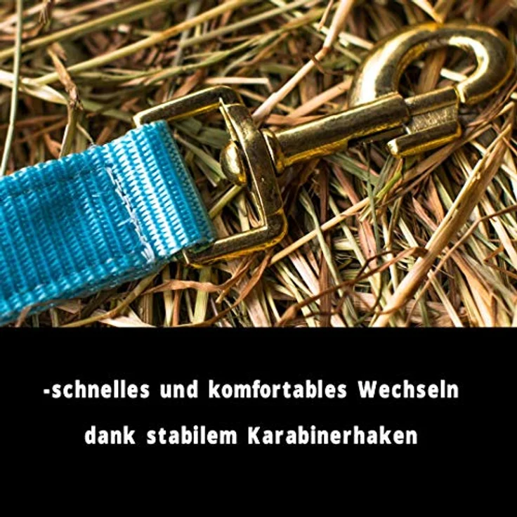 Pferdelinis Halfter für Kaltblut – Reißfestes Stall- und Weidehalfter, 2-fach verstellbar in Türkis – Bild 3