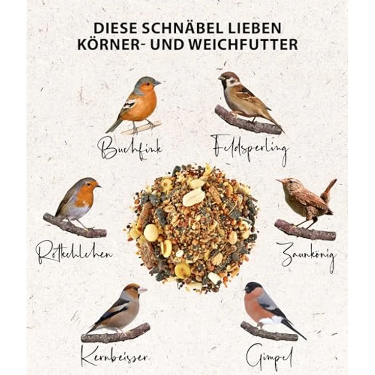 Dehner Natura Premium Wildvogelfutter, 10 kg energiereiches Körner- und Weichfutter für ganzjährige Fütterung mit Nüssen, Früchten & Insekten – Bild 3