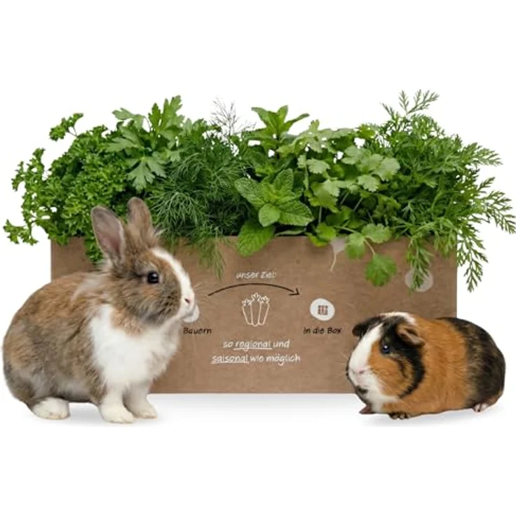 Knollenliebe Mümmel-Mix Kleintierbox 3 kg, frisches Kräuter-Frischfutter für Kaninchen und Meerschweinchen, artgerecht – Bild 1