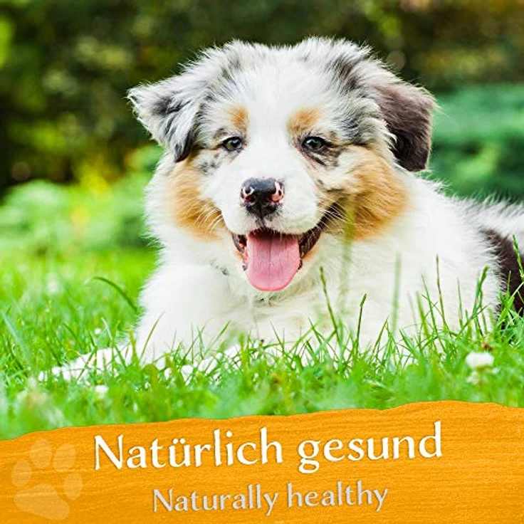 BELISY Juckreiz Bachblüten Kügelchen für Hunde & Katzen, alkoholfrei, 10g - natürliche Pflege gegen Juckreiz & für gesundes Fell – Bild 5